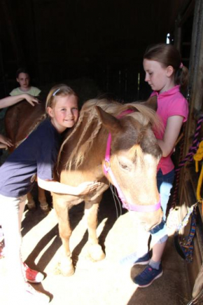 Pony-und Ferienhof Gut Habbecke